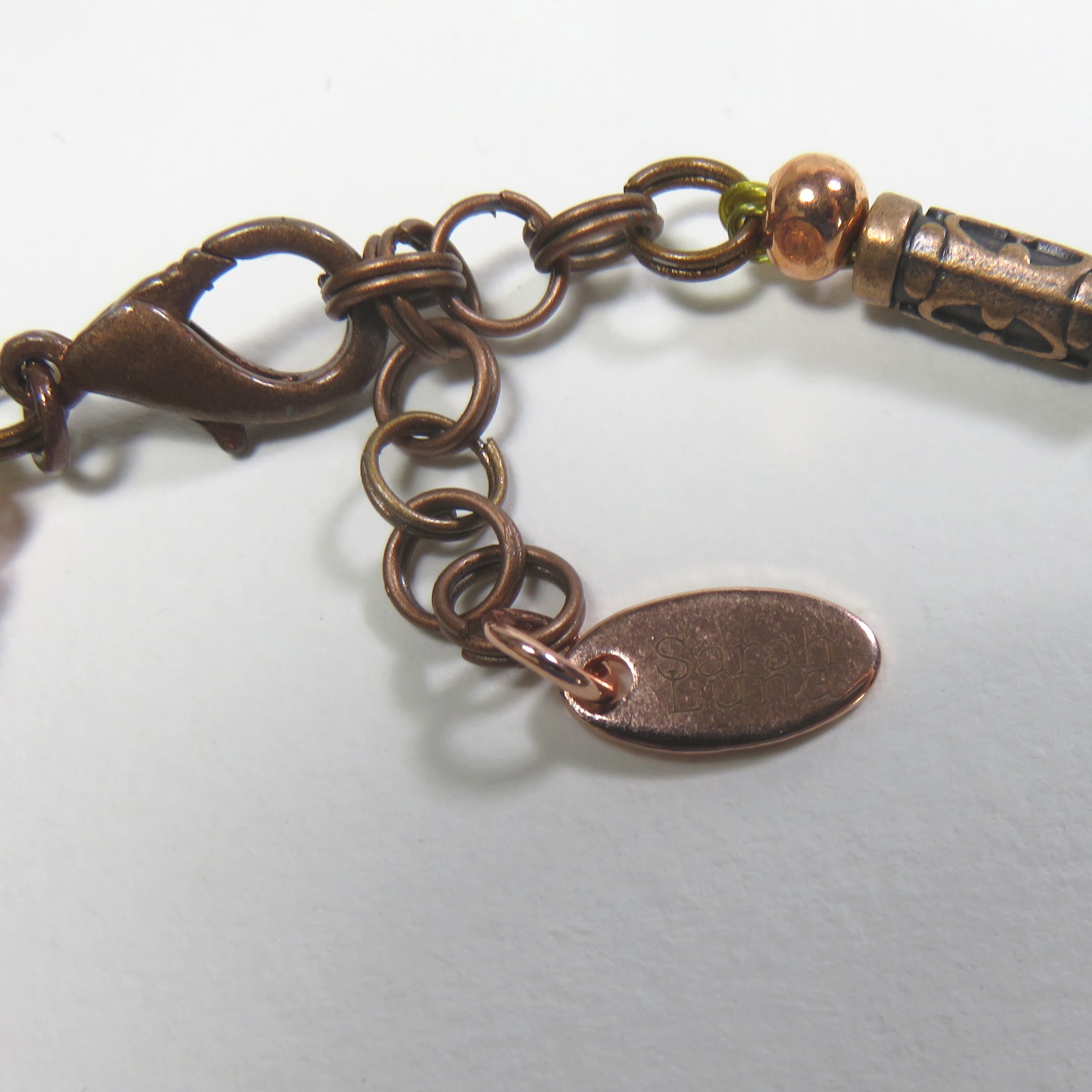 DANS MON AQUARIUM – Image 5